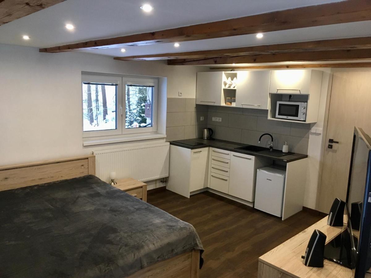 Pod Sjezdovkou Vakantiehuis